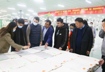 Chinese company ready to invest in development of cotton cluster in Turkestan region