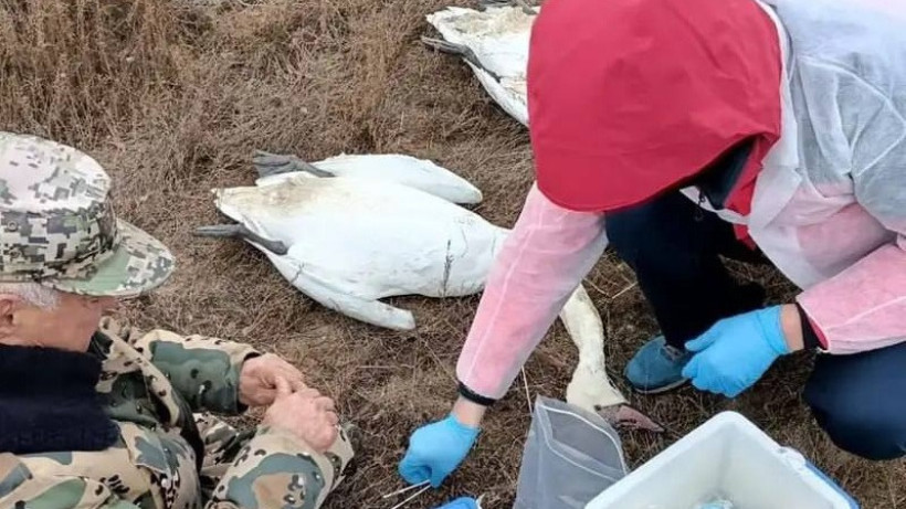  ustirt_kz / Instagram 