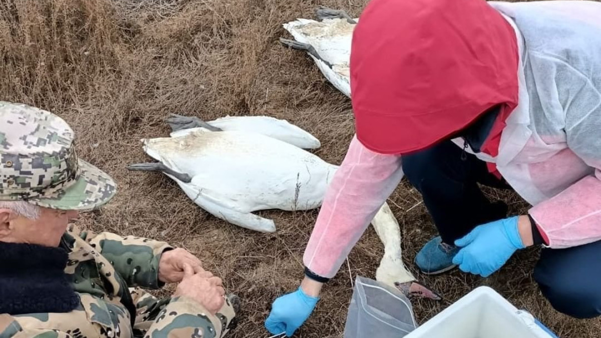  Ашық дереккөзден 