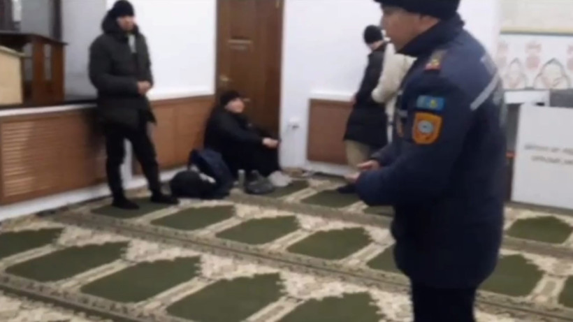  Видеодан кадр 