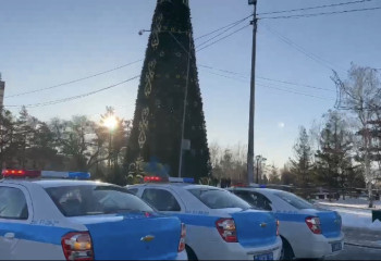 Павлодар облысында полицияға жүзден астам шақырту түсті