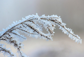 2 қаңтарға арналған ауа райы болжамы