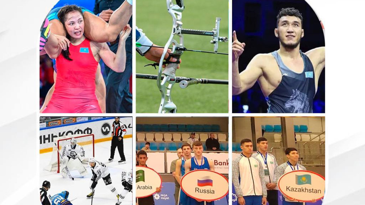 Какие победы одержали казахстанские спортсмены в преддверии нового года