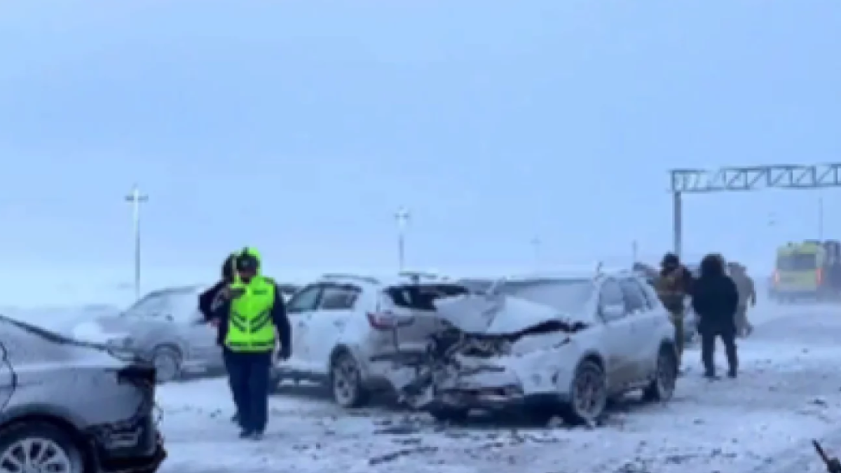  Видеодан кадр 