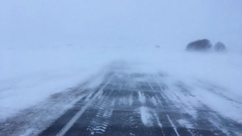  Управления полиции г.Аркалыка / Instagram 