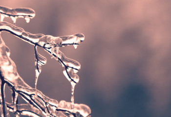 Мороз и осадки: какая погода придёт в Казахстан