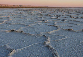 Kazakhstan headed International Fund for Saving the Aral Sea
