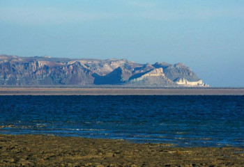 Қазақстан Халықаралық Аралды құтқару қорына төрағалық етеді