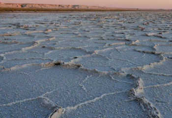 Казахстан возглавил Фонд спасения Арала