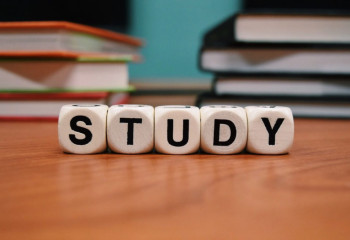 Шет тілін тез үйренудің жолы қайсы