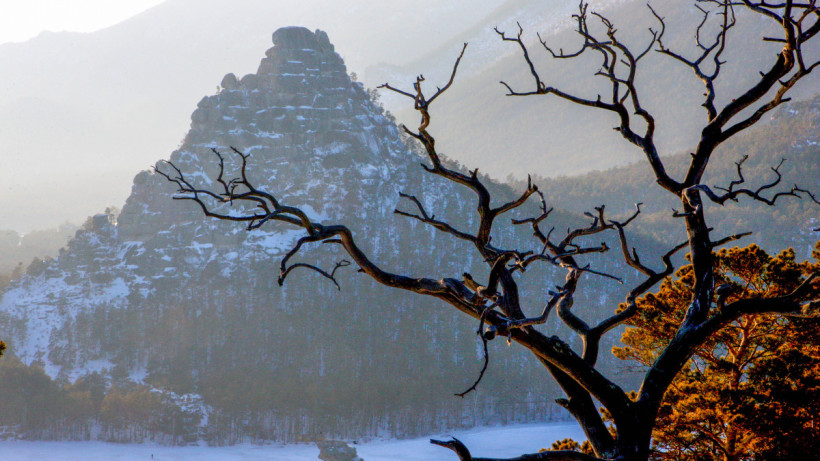  ©El.kz/Мұхтар ХОЛДОРБЕКОВ 