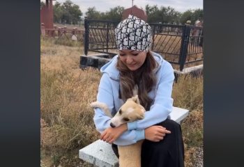 Муж в образе собаки пришёл на свою могилу проститься с женой