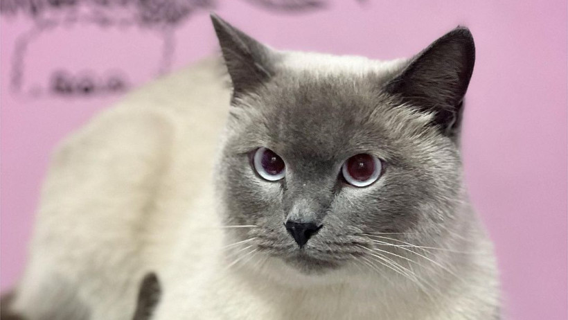  sc_groom / Instagram 