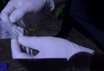 К 3,6 годам приговорен житель Уральска за хранение “синтетики”