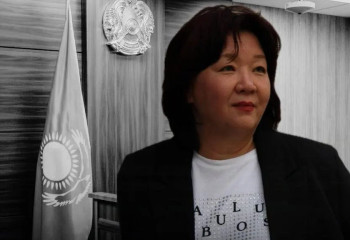 В МВД раскрыли некоторые подробности по уголовным делам в отношении Дины Тансари