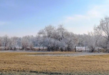 Ученые из QYZPU определили место проведения исследований по очистке воздуха в Алматы