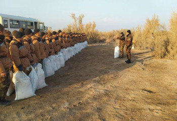 Пустыню на месте Аральского моря планируют засеять саксаулом