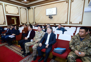 Ақтаудағы Қаракөл көлінде аққулардың жаппай қырылу себебі зерттеледі