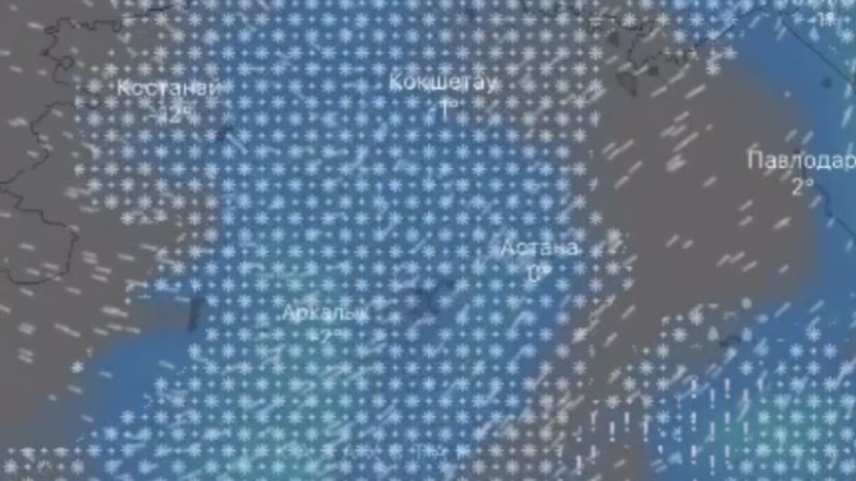  Видеодан алынған кадр 