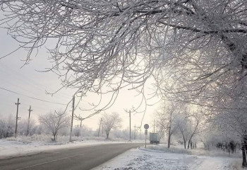 Ақтөбеде жүргізуші куәлігі жоқ үш баланың анасы тағы мас күйде көлік айдаған