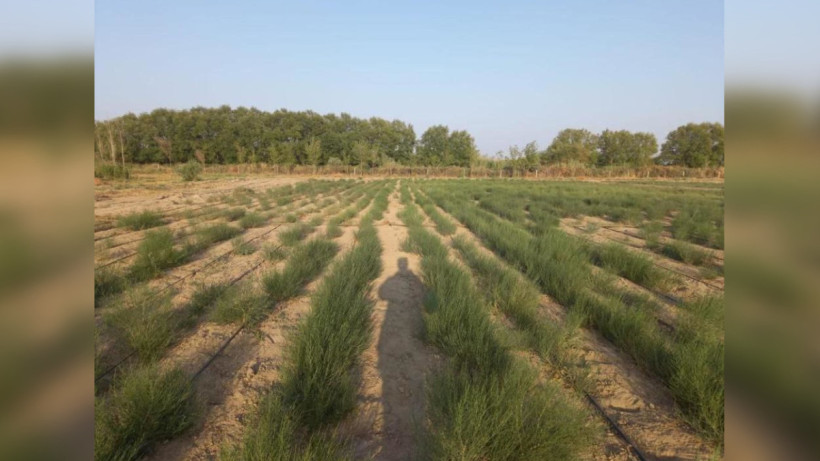  Министерство экологии и природных ресурсов РК 