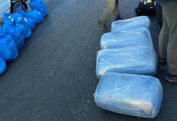 Қарағандыда 146 келі марихуана мен 94 келі гашиш тәркіленді