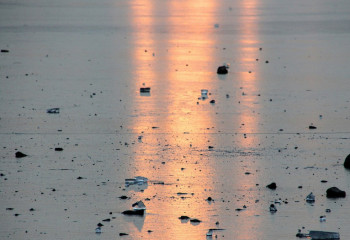 Капотқа мініп сырғанап қаза тапқан қыз туралы жаңа мәлімет айтылды