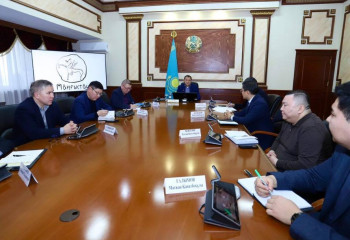 Маңғыстау облысында аққулардың неден қырылғаны белгілі болды