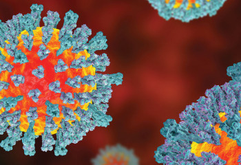 Қарағанды облысында жұқпалы ауруды жұқтырудың 828 оқиғасы анықталды