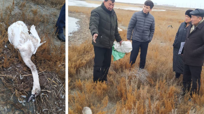  Экология және табиғи ресурстар министрлігінің баспасөз қызметі 