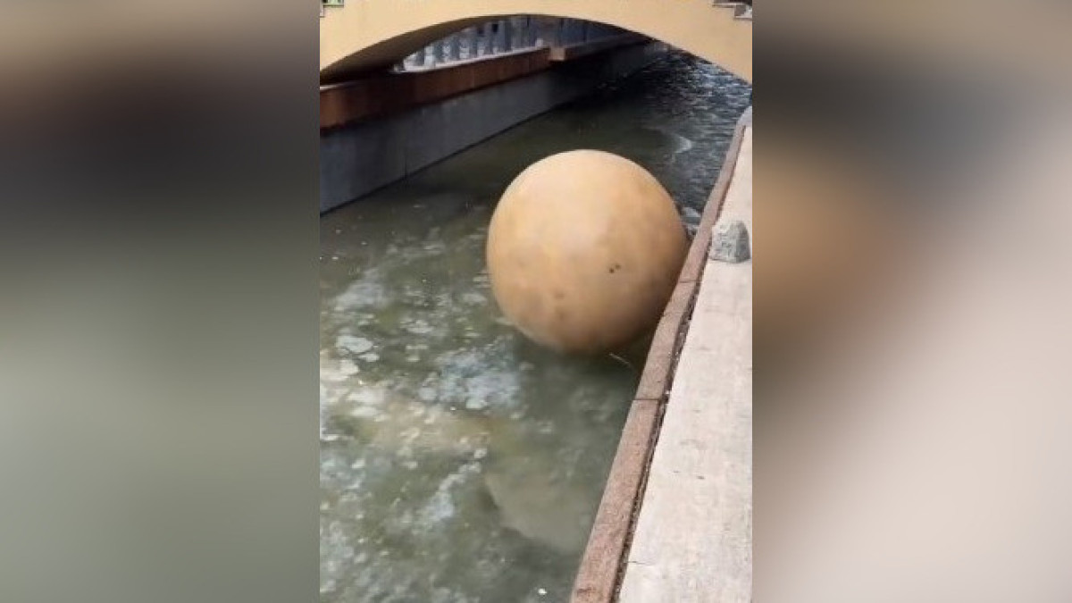  Кадр из видео 