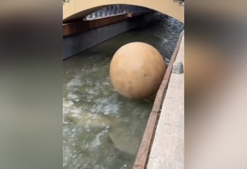 «Колобок» убежал в Туркестане