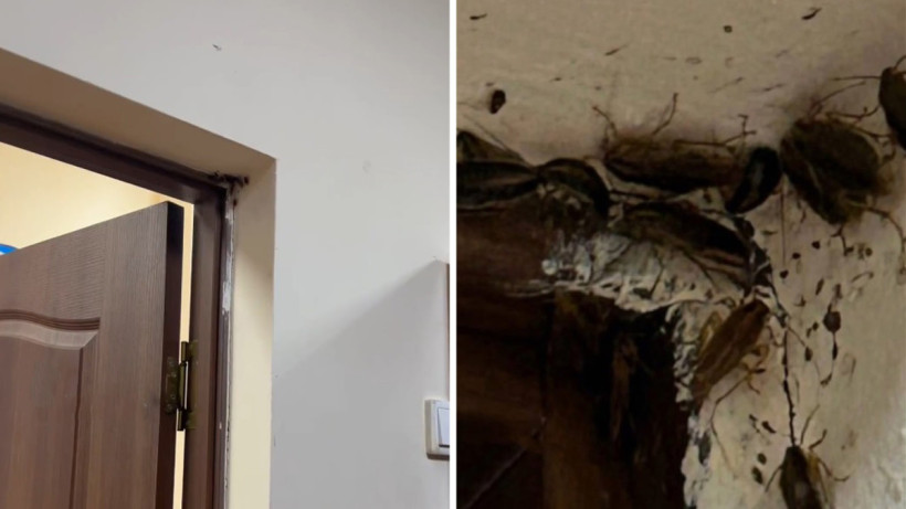  Видеодан кадр 