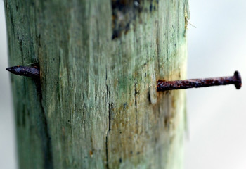 Ағасы қарындасын қылқындырып, шеге қағып өлтірген