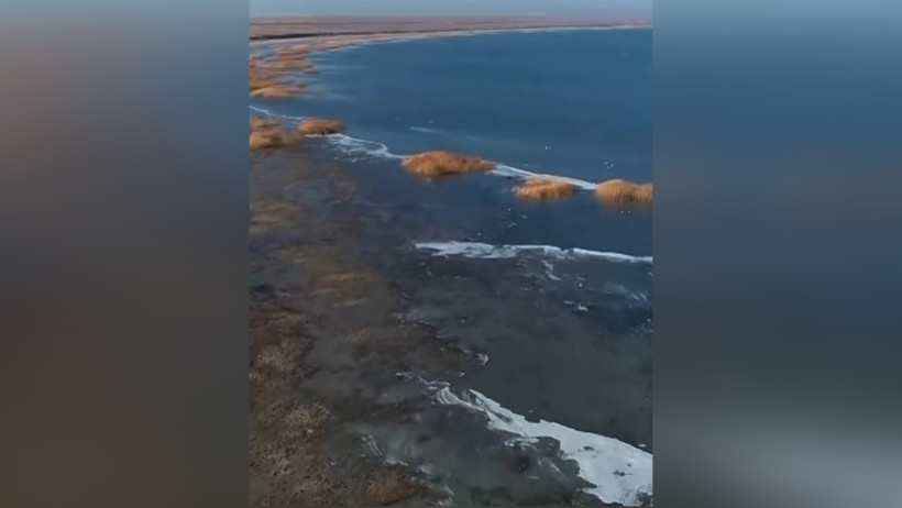  Кадр из видео 