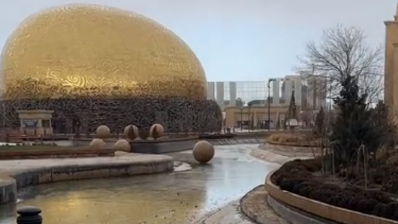  Видеодан кадр 