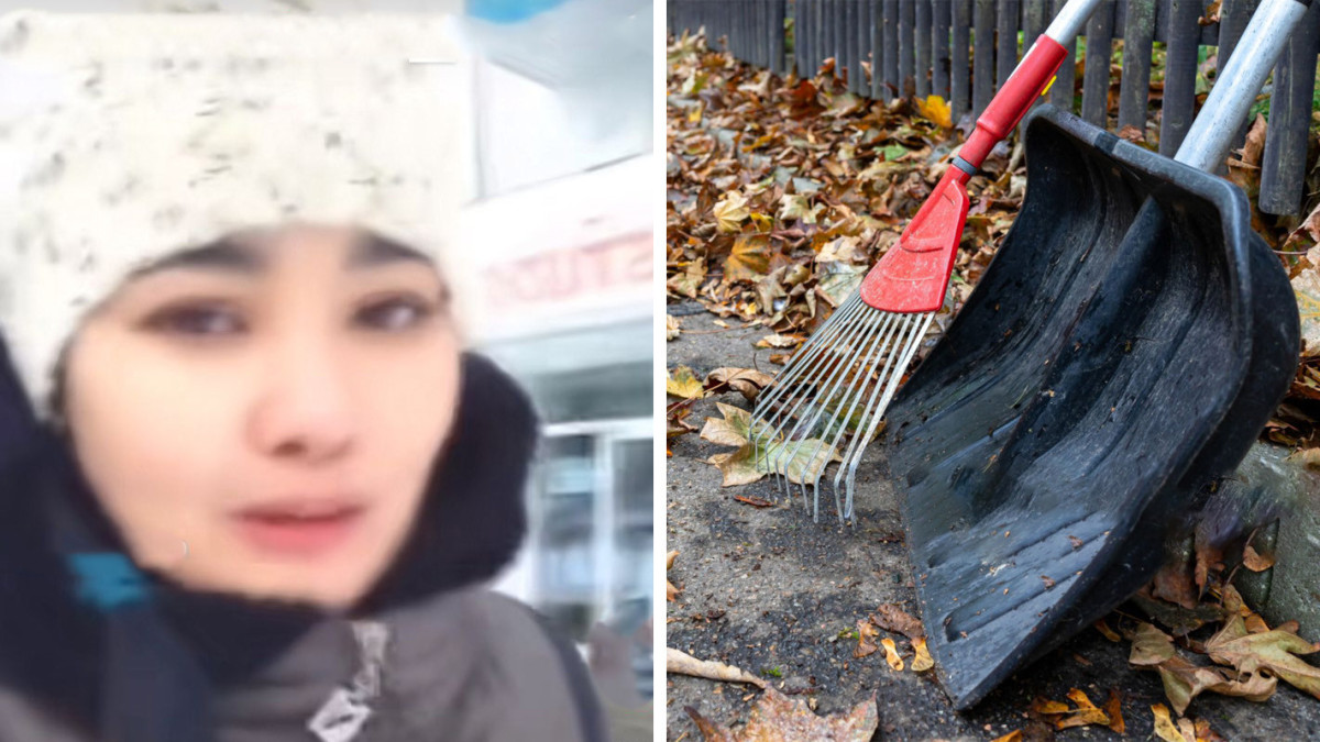  Видеодан кадр / © iStock 