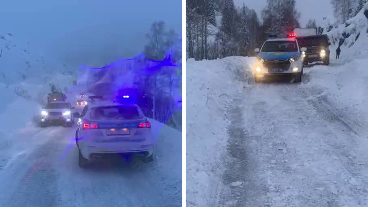  t.me/POLICE_of_KZ 