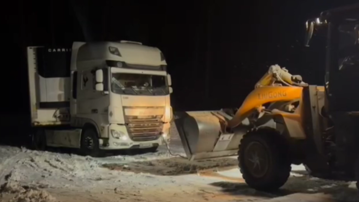  Видеодан кадр 