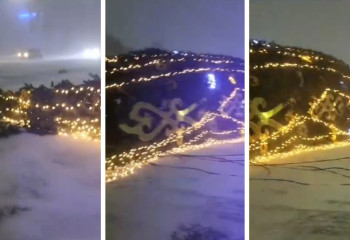 Павлодарда қыруар қаржыға орнатқан шырша құлап қалды