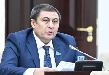 Егіс алқабында жүздеген гектар өнім жиналмай қалды – сенатор