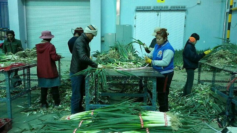  Әлеуметтік желі 