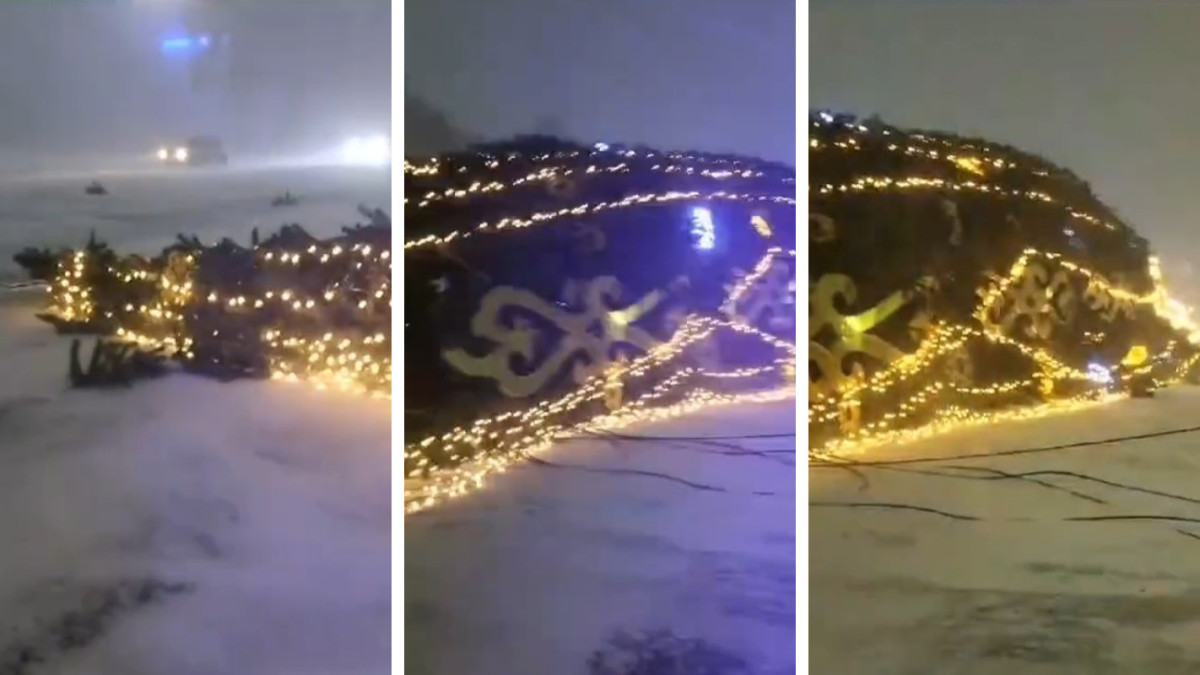  Видеодан кадр 