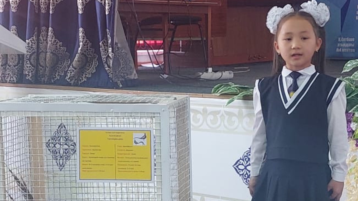  Оқушының жеке мұрағаты 