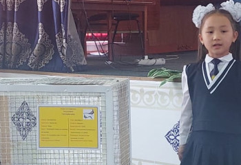 Түркістандық 2-сынып оқушысы қырғауылды үй жағдайында зерттеп жүр