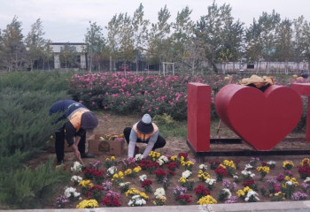 В Туркестане высажено более 300 тысяч саженцев деревьев