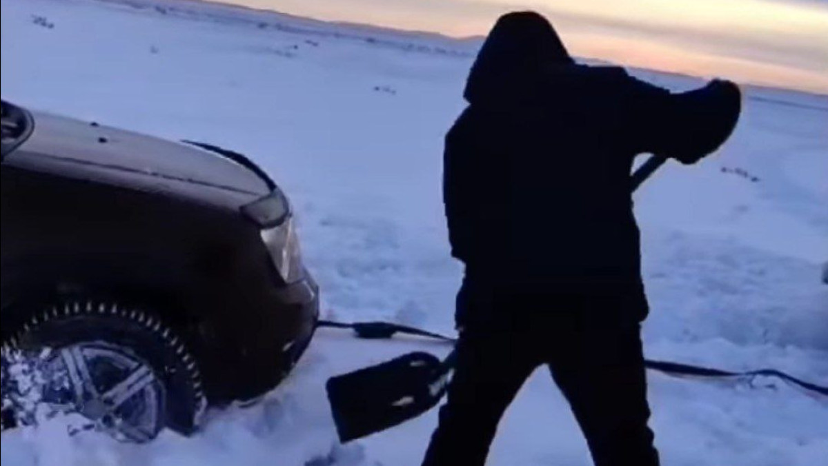  Видеодан кадр 