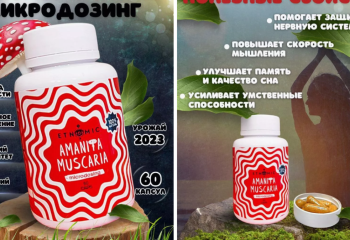 Галлюциногенные грибы можно заказать с доставкой на популярных маркетплейсах