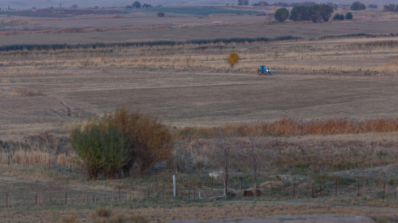  ©El.kz/Артем ЧУРСИНОВ 