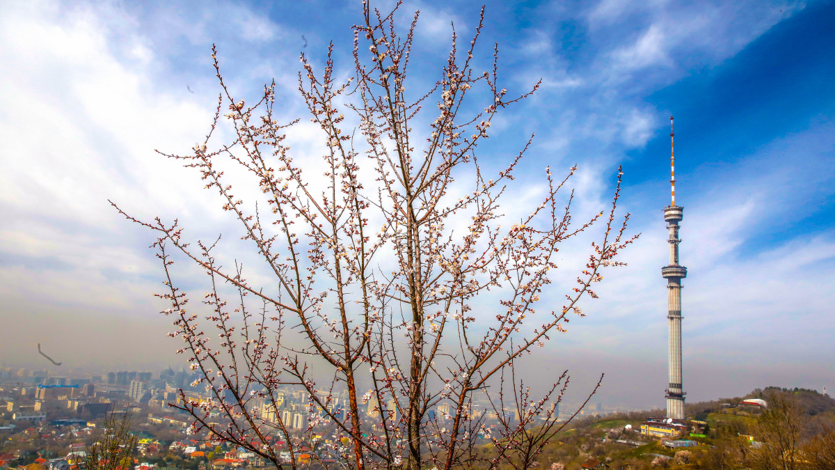  ©El.kz/Александр ПАВСКИЙ 